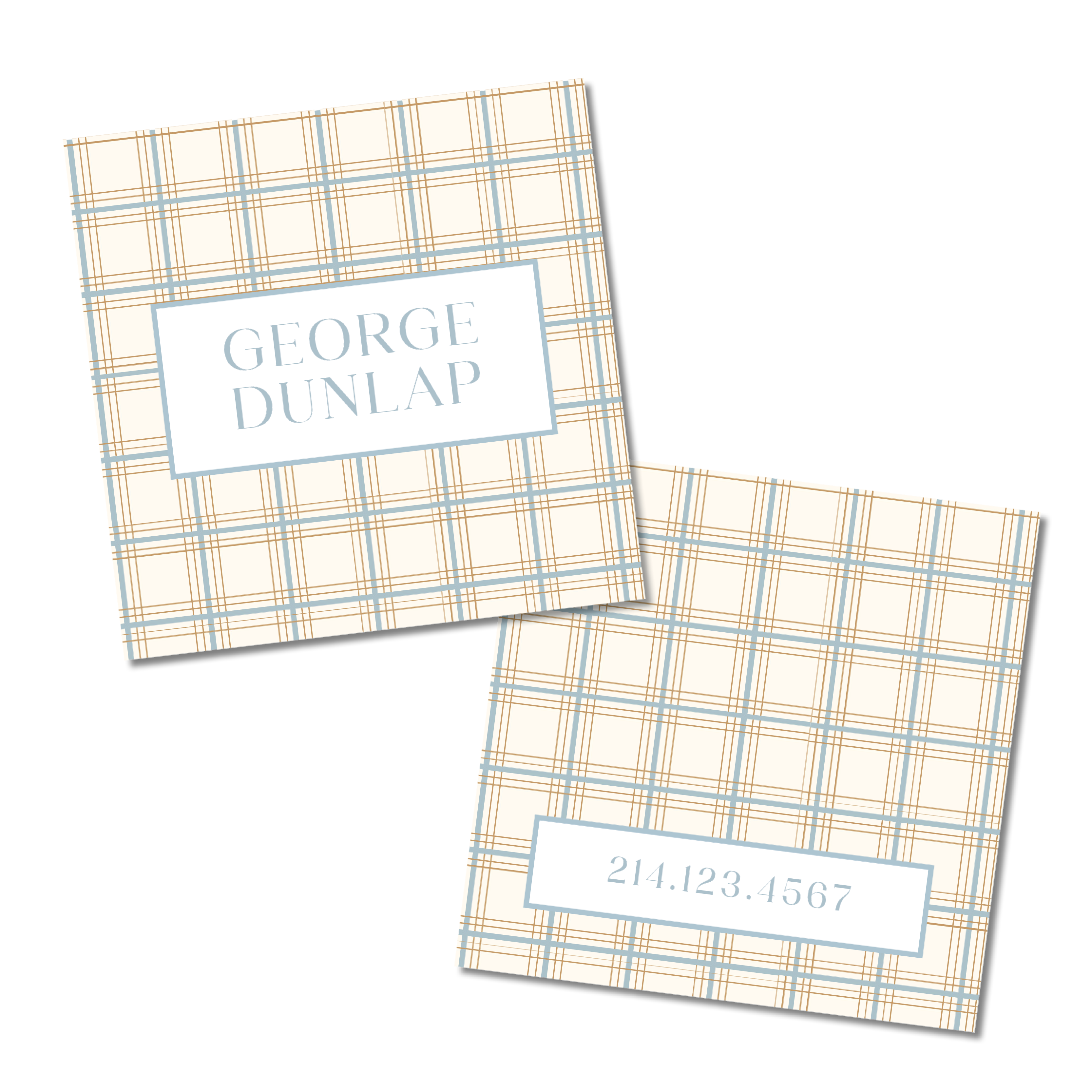 Beige & Blue Plaid Bag Tag